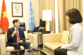 Vietnam achieves targets during UNSC presidency month: Ambassador 