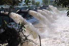 Mekong Delta sets up public tap water faucets as saline intrusion peaks