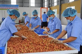 State needs to help cut logistics cost for farm produce