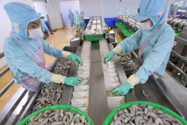 Ca Mau strives for 1.9 billion USD in export value in 2025