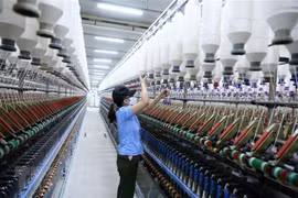 Long An enterprises updated on EVFTA