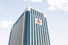 State Audit of Vietnam works to complete 2020 plan
