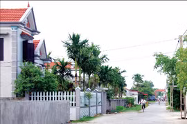 Hai Phong invests over 1 trillion VND to build model rural areas