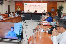 Agricultural production needs a boost amid COVID-19: conference 