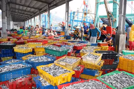 Conference talks ways to fight illegal, unreported, unregulated fishing 