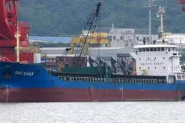 Five Vietnamese sailors missing as vessel sinks off Japan