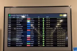 Bamboo Airways leads local airlines in punctuality in H1