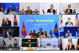 ASEAN, RoK ministers meet within framework of AEM-52 