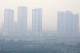 Carbon pricing helps improve Vietnam’s image internationally: Foreign media