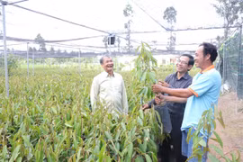 Country’s largest seedling producer focuses on quality