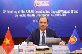 ASEAN cooperation in COVID-19 fight reviewed 