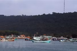 Establishment of so-called Sansha city a provocation: Australian expert