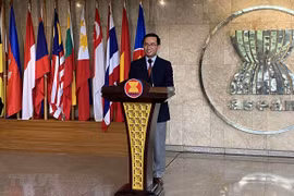 Vietnam’s entry into ASEAN opens new chapter in Southeast Asia relations: Ambassador
