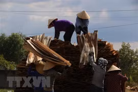 Eight-month wood export turnover up 10.3 percent