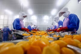 Vietnam calls for investment in fruit, vegetable processing