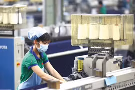 Inside an FDI factory in Binh Duong province. (Photo: baodautu.vn)