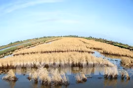 Localities asked to stay active in coping with water scarcity