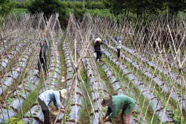 Collective economy – cooperatives forum scheduled for third quarter