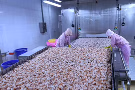 Gov’t to issue lists of preferential tariffs under EVFTA