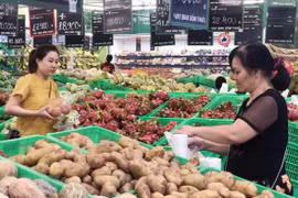 Ho Chi Minh City’s February CPI down 0.18 percent