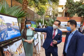 Vietnamese culture promoted in Egypt