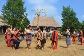 Activities celebrating Vietnam Family Day held at cultural village