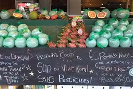 Vietnamese co-operatives export dragon fruit, pomelo to Canada