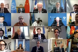 Vietnam backs Syrian Constitutional Committee’s peace negotiations: diplomat