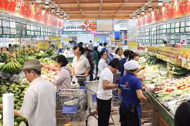 MoIT carries out solutions to boost domestic market growth