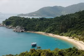 Project helps create sustainable ecological environment on Cu Lao Cham Island
