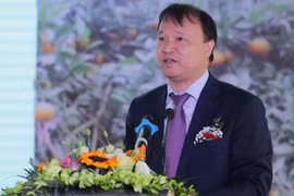 Vietnam, Chile seek to foster economic, trade cooperation