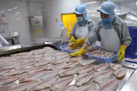 Vietnam, New Zealand expect trade value of 1.7 billion USD in 2020