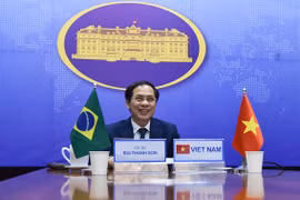 7th Vietnam – Brazil political consultation held