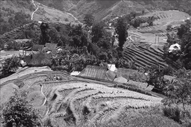 Ha Giang organises sporting, cultural activities to stimulate tourism