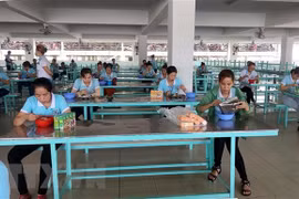 HCM City records low credit growth, high risk of bad debts