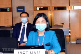 Vietnam prioritises child right protection: ambassador 