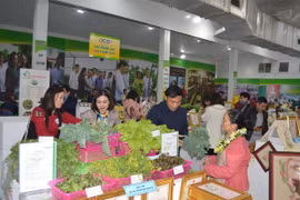 Hanoi recognises 630 OCOP products over last 3 years