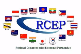 Businesses advised to improve knowledge to optimize chances from RCEP