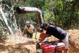 Measures sought to minimise drought's impact on rice production