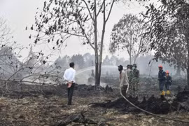 World Bank helps Indonesia reduce carbon emissions