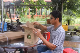 Ba Ria-Vung Tau uses origin traceability stamps on farm produce