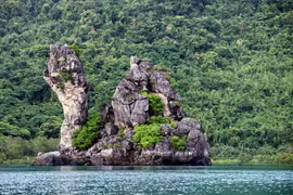 Quang Ninh enjoys potential for forestry tourism development