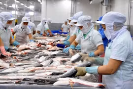 Aquatic exports drop 6 percent in five months