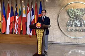 Vietnamese ambassador named new Deputy Secretary-General of ASEAN