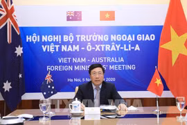 Australia wants to set up comprehensive strategic partnership with Vietnam: FM