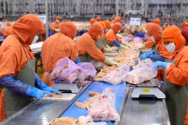 Vietnamese firms invest 30.3 million USD abroad in two months