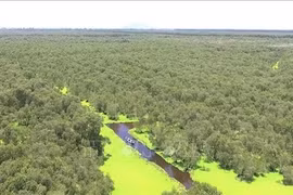 Biodiversity needs proper protection measures