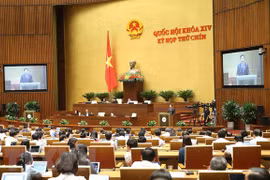 National Assembly enters last working day of ninth session 
