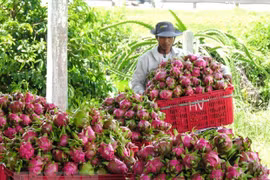 Meeting seeks to develop Vietnam’s agriculture amid COVID-19 