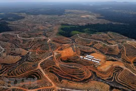 Indonesia sets up agency to handle investment in new capital